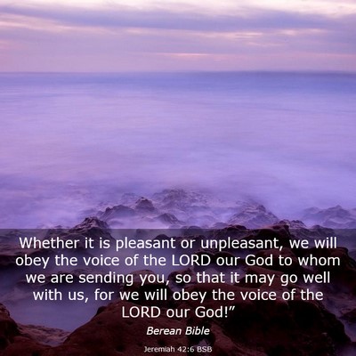 Picture 03 - Jeremiah 42:6 BSB - Whether it is pleasant or unpleasant, we will - Bible Verse Picture