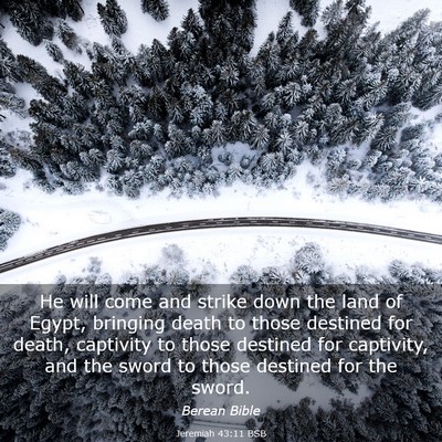 Picture 03 - Jeremiah 43:11 BSB - He will come and strike down the land of Egypt, - Bible Verse Picture