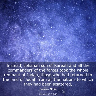 Picture 03 - Jeremiah 43:5 BSB - Instead, Johanan son of Kareah and all the - Bible Verse Picture