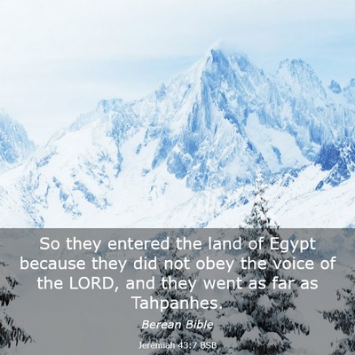 Picture 03 - Jeremiah 43:7 BSB - So they entered the land of Egypt because they - Bible Verse Picture