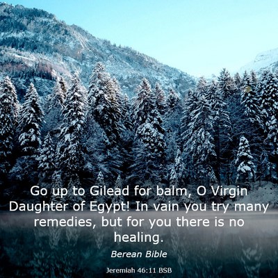 Picture 03 - Jeremiah 46:11 BSB - Go up to Gilead for balm, O Virgin Daughter of - Bible Verse Picture