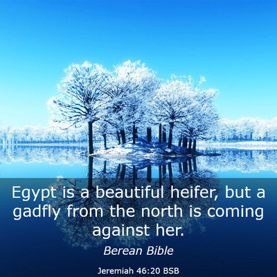 Picture 03 - Jeremiah 46:20 BSB - Egypt is a beautiful heifer, but a gadfly from - Bible Verse Picture