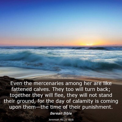 Picture 03 - Jeremiah 46:21 BSB - Even the mercenaries among her are like fattened - Bible Verse Picture