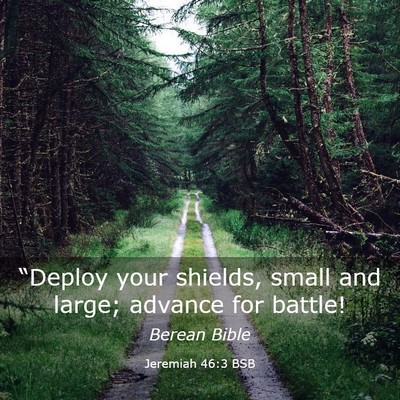 Picture 03 - Jeremiah 46:3 BSB - “Deploy your shields, small and large; advance - Bible Verse Picture