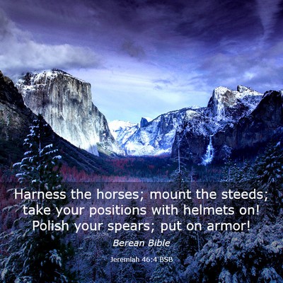 Picture 03 - Jeremiah 46:4 BSB - Harness the horses; mount the steeds; take your - Bible Verse Picture