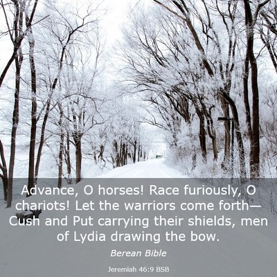 Picture 03 - Jeremiah 46:9 BSB - Advance, O horses! Race furiously, O chariots! - Bible Verse Picture