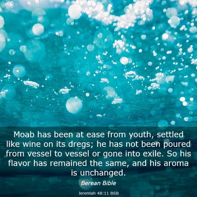 Picture 03 - Jeremiah 48:11 BSB - Moab has been at ease from youth, settled like - Bible Verse Picture