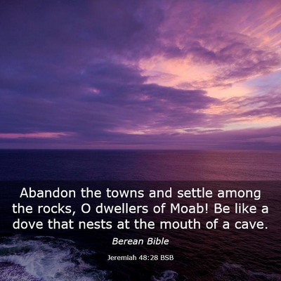 Picture 03 - Jeremiah 48:28 BSB - Abandon the towns and settle among the rocks, O - Bible Verse Picture