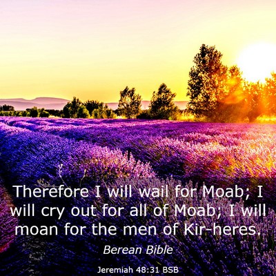 Picture 03 - Jeremiah 48:31 BSB - Therefore I will wail for Moab; I will cry out - Bible Verse Picture