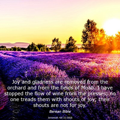 Picture 03 - Jeremiah 48:33 BSB - Joy and gladness are removed from the orchard and - Bible Verse Picture