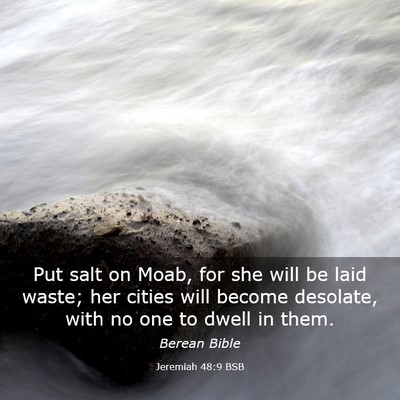 Picture 03 - Jeremiah 48:9 BSB - Put salt on Moab, for she will be laid waste; her - Bible Verse Picture
