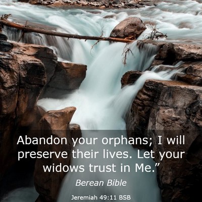 Picture 03 - Jeremiah 49:11 BSB - Abandon your orphans; I will preserve their - Bible Verse Picture