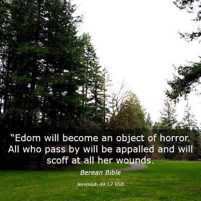 Picture 03 - Jeremiah 49:17 BSB - “Edom will become an object of horror. All who - Bible Verse Picture