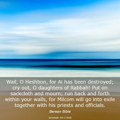 Picture 03 - Jeremiah 49:3 BSB - Wail, O Heshbon, for Ai has been destroyed; cry - Bible Verse Picture