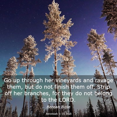 Picture 03 - Jeremiah 5:10 BSB - Go up through her vineyards and ravage them, but - Bible Verse Picture