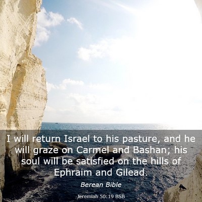 Picture 03 - Jeremiah 50:19 BSB - I will return Israel to his pasture, and he will - Bible Verse Picture