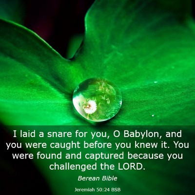 Picture 03 - Jeremiah 50:24 BSB - I laid a snare for you, O Babylon, and you were - Bible Verse Picture