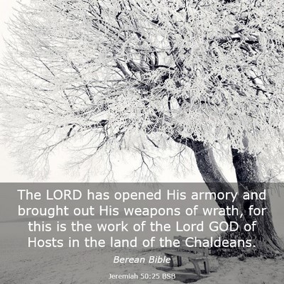 Picture 03 - Jeremiah 50:25 BSB - The LORD has opened His armory and brought out - Bible Verse Picture