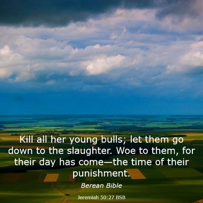 Picture 03 - Jeremiah 50:27 BSB - Kill all her young bulls; let them go down to the - Bible Verse Picture