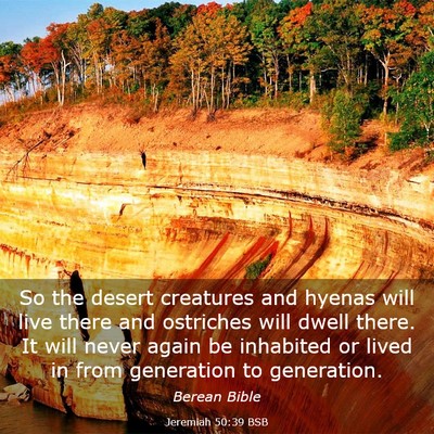 Picture 03 - Jeremiah 50:39 BSB - So the desert creatures and hyenas will live - Bible Verse Picture