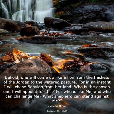 Picture 03 - Jeremiah 50:44 BSB - Behold, one will come up like a lion from the - Bible Verse Picture