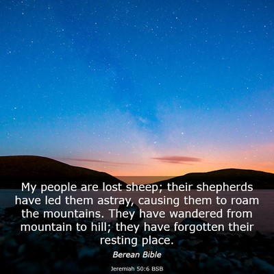 Picture 03 - Jeremiah 50:6 BSB - My people are lost sheep; their shepherds have - Bible Verse Picture