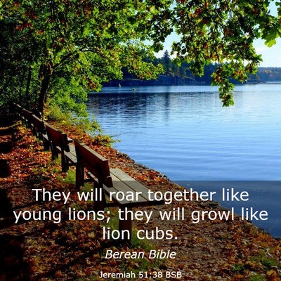 Picture 03 - Jeremiah 51:38 BSB - They will roar together like young lions; they - Bible Verse Picture