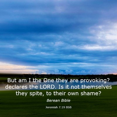 Picture 03 - Jeremiah 7:19 BSB - But am I the One they are provoking? declares the - Bible Verse Picture