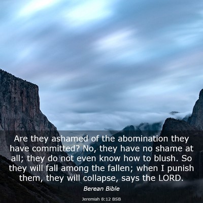 Picture 03 - Jeremiah 8:12 BSB - Are they ashamed of the abomination they have - Bible Verse Picture