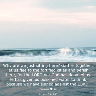 Picture 03 - Jeremiah 8:14 BSB - Why are we just sitting here? Gather together, - Bible Verse Picture