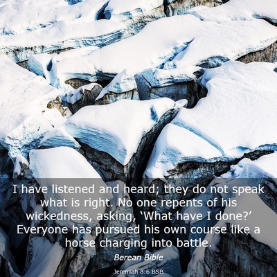 Picture 03 - Jeremiah 8:6 BSB - I have listened and heard; they do not speak what - Bible Verse Picture
