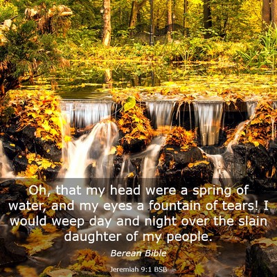 Picture 03 - Jeremiah 9:1 BSB - Oh, that my head were a spring of water, and my - Bible Verse Picture