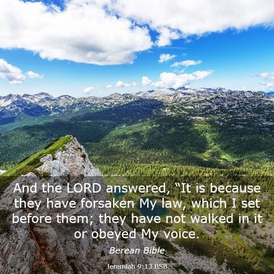 Picture 03 - Jeremiah 9:13 BSB - And the LORD answered, “It is because they have - Bible Verse Picture
