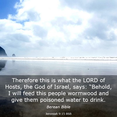 Picture 03 - Jeremiah 9:15 BSB - Therefore this is what the LORD of Hosts, the God - Bible Verse Picture