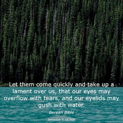 Picture 03 - Jeremiah 9:18 BSB - Let them come quickly and take up a lament over - Bible Verse Picture