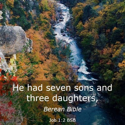 Picture 03 - Job 1:2 BSB - He had seven sons and three - Bible Verse Picture