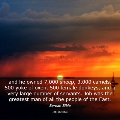Picture 03 - Job 1:3 BSB - and he owned 7,000 sheep, 3,000 camels, 500 yoke - Bible Verse Picture