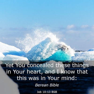Picture 03 - Job 10:13 BSB - Yet You concealed these things in Your heart, and - Bible Verse Picture