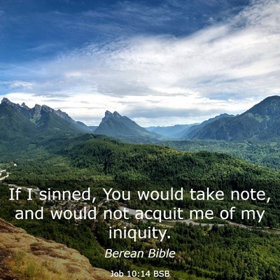 Picture 03 - Job 10:14 BSB - If I sinned, You would take note, and would not - Bible Verse Picture