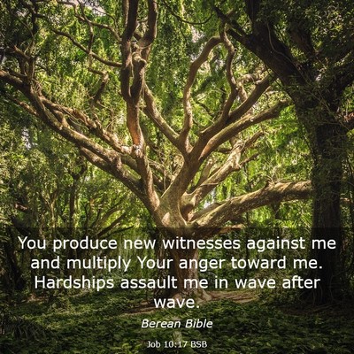 Picture 03 - Job 10:17 BSB - You produce new witnesses against me and multiply - Bible Verse Picture