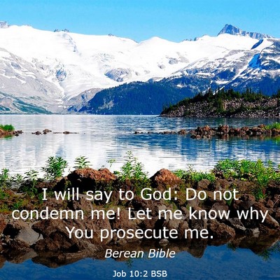 Picture 03 - Job 10:2 BSB - I will say to God: Do not condemn me! Let me know - Bible Verse Picture