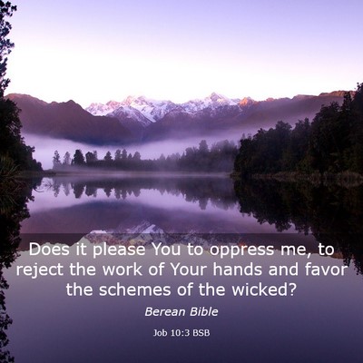 Picture 03 - Job 10:3 BSB - Does it please You to oppress me, to reject the - Bible Verse Picture