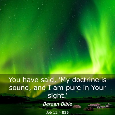 Picture 03 - Job 11:4 BSB - You have said, ‘My doctrine is sound, and I am - Bible Verse Picture