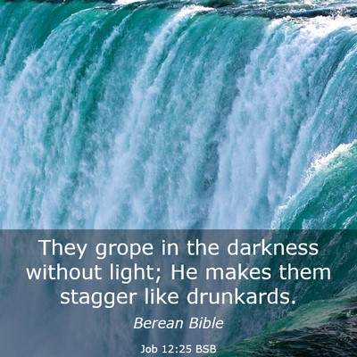 Picture 03 - Job 12:25 BSB - They grope in the darkness without light; He - Bible Verse Picture