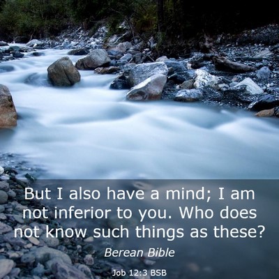 Picture 03 - Job 12:3 BSB - But I also have a mind; I am not inferior to you. - Bible Verse Picture