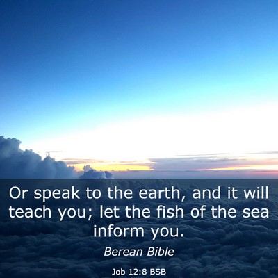 Picture 03 - Job 12:8 BSB - Or speak to the earth, and it will teach you; let - Bible Verse Picture