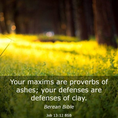 Picture 03 - Job 13:12 BSB - Your maxims are proverbs of ashes; your defenses - Bible Verse Picture