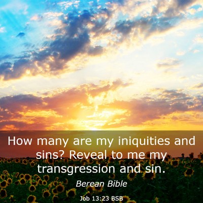 Picture 03 - Job 13:23 BSB - How many are my iniquities and sins? Reveal to me - Bible Verse Picture