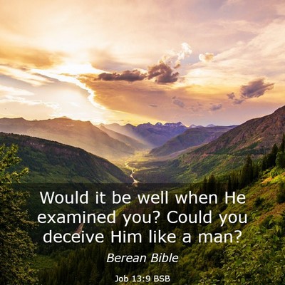 Picture 03 - Job 13:9 BSB - Would it be well when He examined you? Could you - Bible Verse Picture