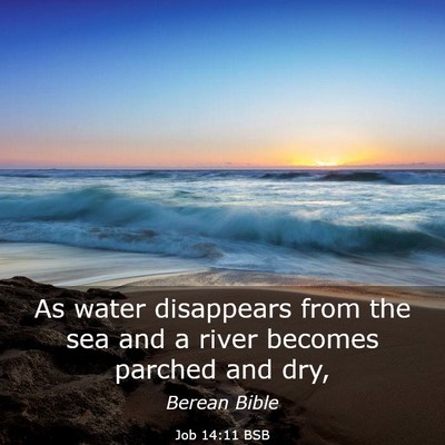 Picture 03 - Job 14:11 BSB - As water disappears from the sea and a river - Bible Verse Picture